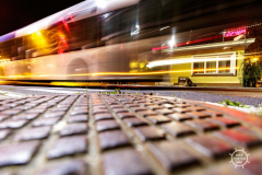 20210506_RS_ROBS3863-scaled