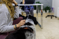 20211212_RS_ROBS5818