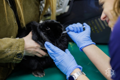 20211212_RS_ROBS5895-scaled