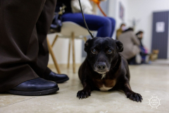 20211212_RS_ROBS5939-scaled