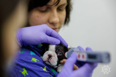 20211212_RS_ROBS5964-scaled