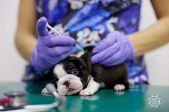 20211212_RS_ROBS5976-scaled