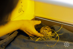 20211212_RS_ROBS6040-scaled