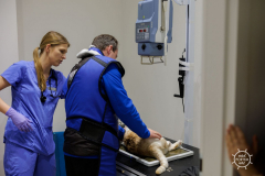 20211212_RS_ROBS6058-scaled