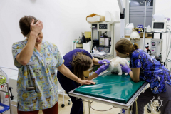 20211212_RS_ROBS6082-scaled