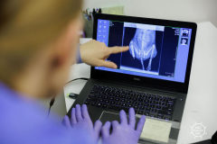 20211212_RS_ROBS6105-scaled