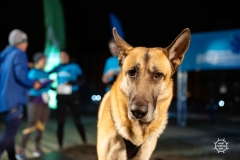 7.11.2023 Szczecin Wieczorne Bieganie w Szczecinie 10 Urodziny  Fot. Robert Stachnik