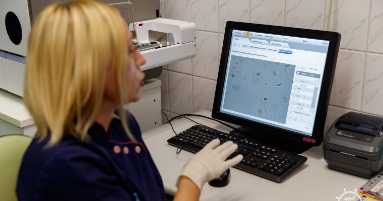 Zakład Diagnostyki Laboratoryjnej. „Jesteśmy trochę jak detektywi”